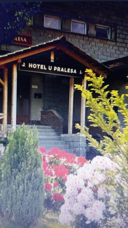 Appartement Kopretina à Cerne Udoli Extérieur photo